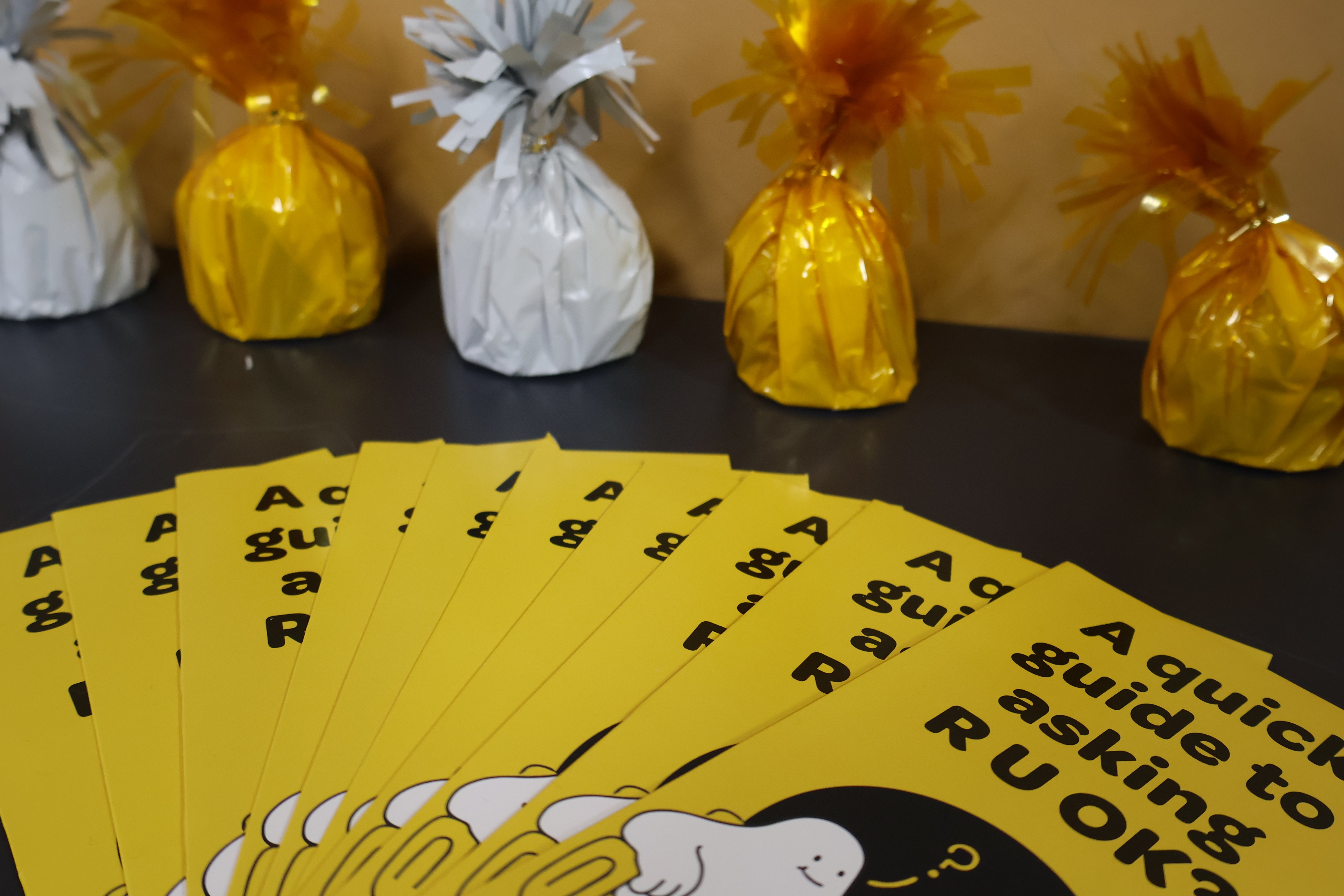 RUOK Booragul - a quick guide