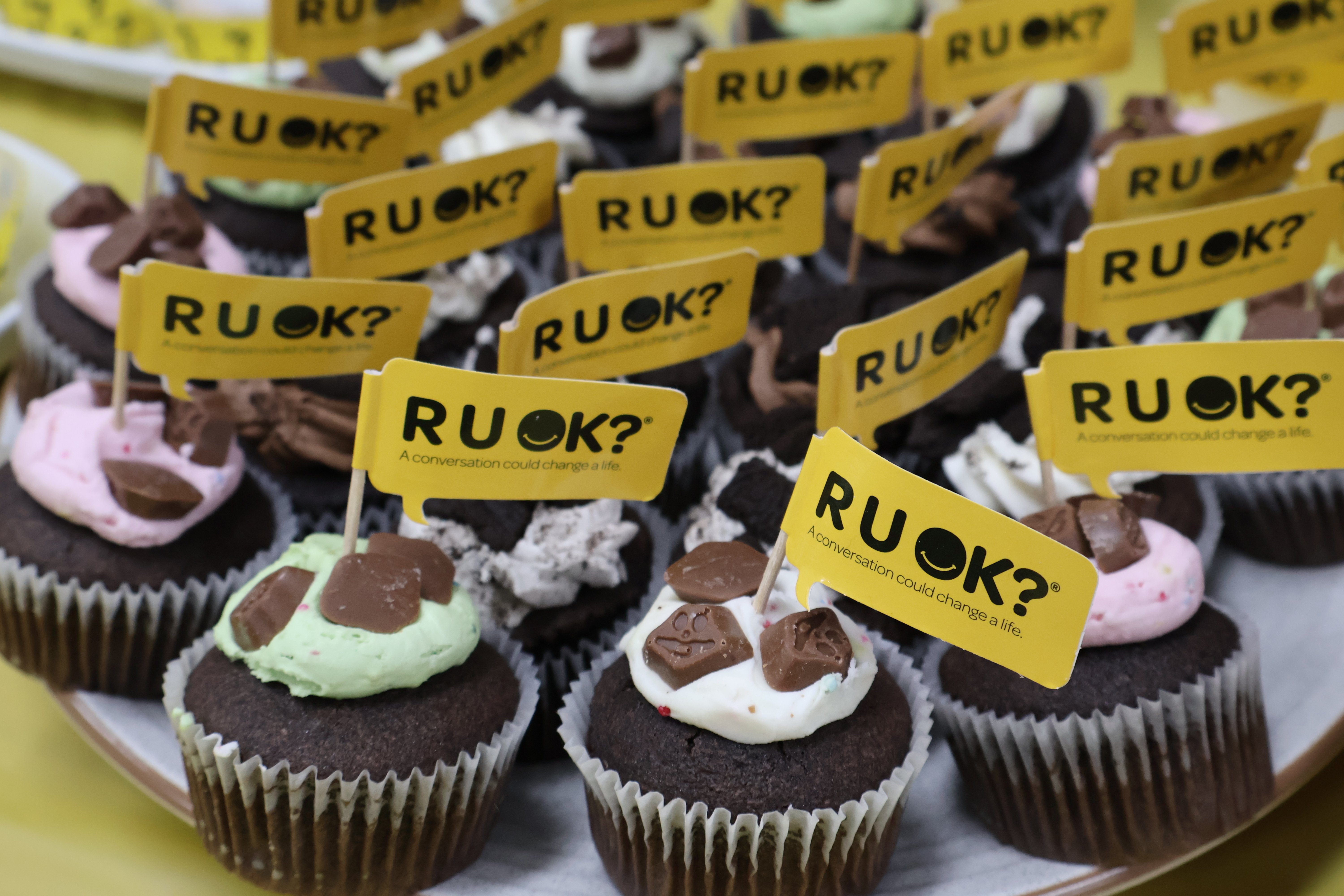 RUOK Booragul - cupcakes