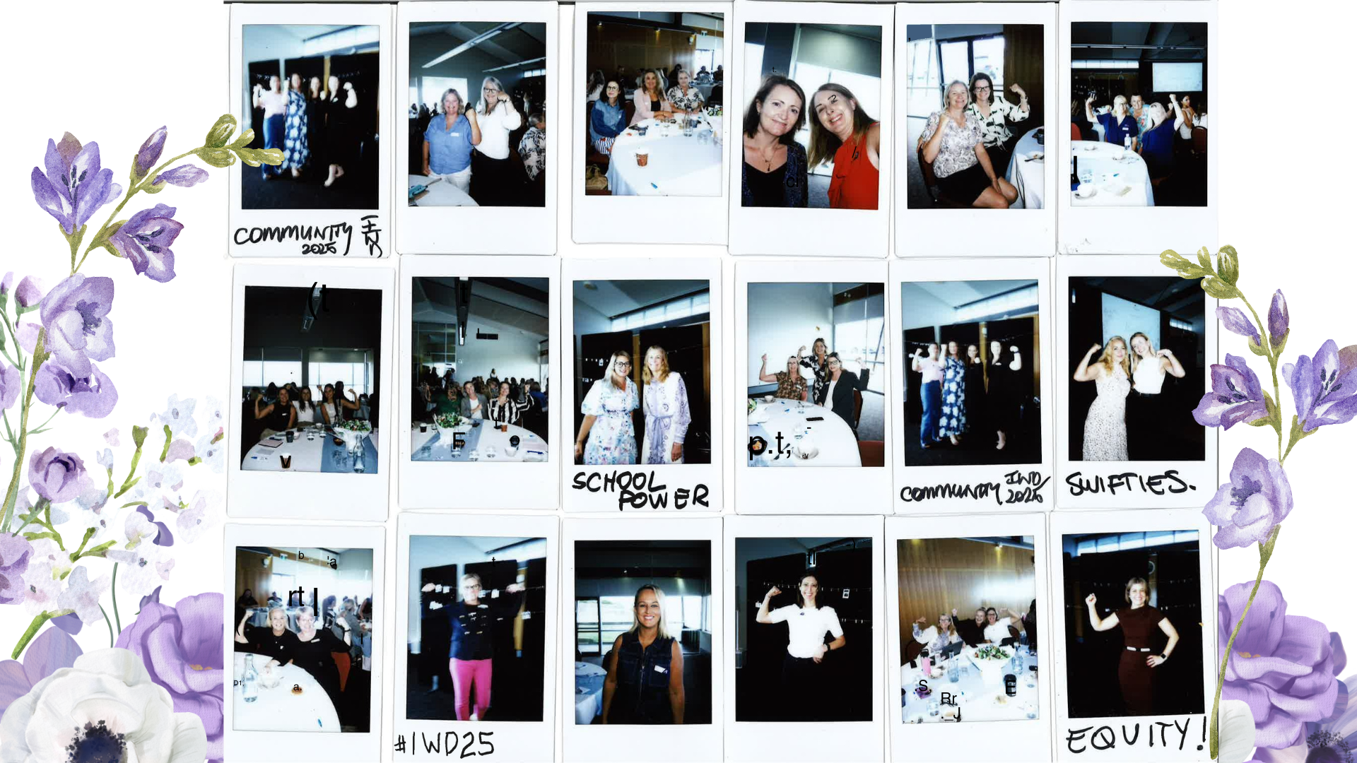 polaroids